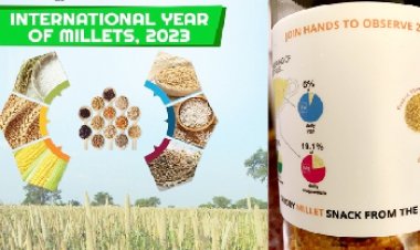 अन्तर्राष्ट्रीय मिलेट 2023