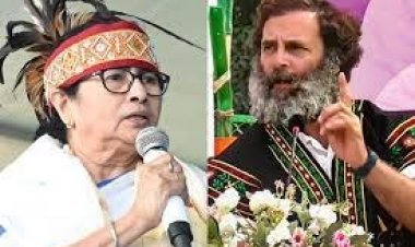 राहुल गांधी का मानहानि मामला: उम्मीदें सुप्रीम कोर्ट पर टिकी हैं क्योंकि दोषसिद्धि से राजनीतिक करियर बाधित होगा