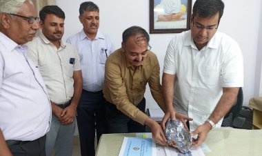 नार्थ डेहली फोल्ड बेल्ट अलवर बिलेटा के पास लेड, जिंक, सिल्वर खनिज के स्पष्ट संकेत, -सामान्य पत्थर से सात गुणा अधिक वजनी