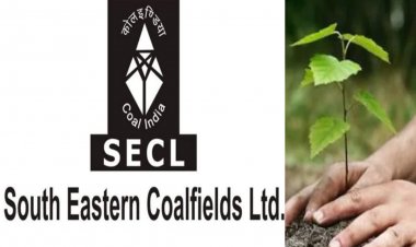 साउथ ईस्टर्न कोलफील्ड्स लिमिटेड मध्य प्रदेश और छत्तीसगढ़ में वृक्षारोपण पर 169 करोड़ रुपये का निवेश करेगी
