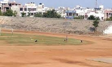 जयपुर के कंवर का बास, झोटवाड़ा में बनेगा स्टेडियम - स्टेडियम के निर्माण के लिए 10 करोड़ रूपए स्वीकृत