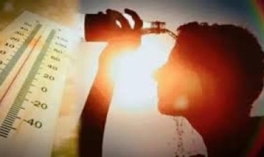 राजस्थान में भीषण गर्मी का कहर, पिलानी में तापमान 47.2 डिग्री पार, मौसम विभाग ने हीट वेव की चेतावनी दी