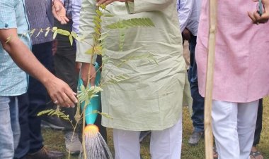 ‘एक पेड़ मां के नाम’ सघन वृक्षारोपण अभियान—2024, जिला प्रभारी मंत्री ने उम्मेद उद्यान में किया वृक्षारोपण सभी प्रदेशवासी अधिकाधिक वृक्षारोपण करें - पंचायतीराज मंत्री