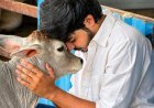 रौनक चौधरी: जीवदया फाउंडेशन के जरिए गौसेवा और मानव सेवा का नया अभियान