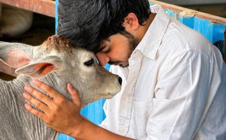 रौनक चौधरी: जीवदया फाउंडेशन के जरिए गौसेवा और मानव सेवा का नया अभियान